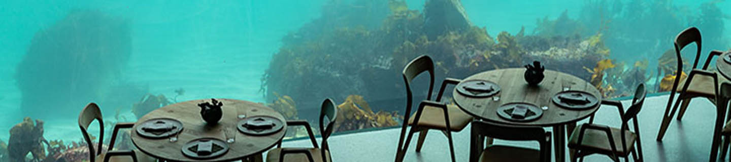 Under the Sea Dining in Norway