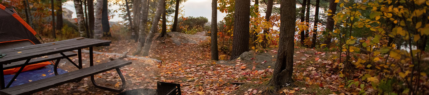 Best Fall Camping Destinations in the U.S.