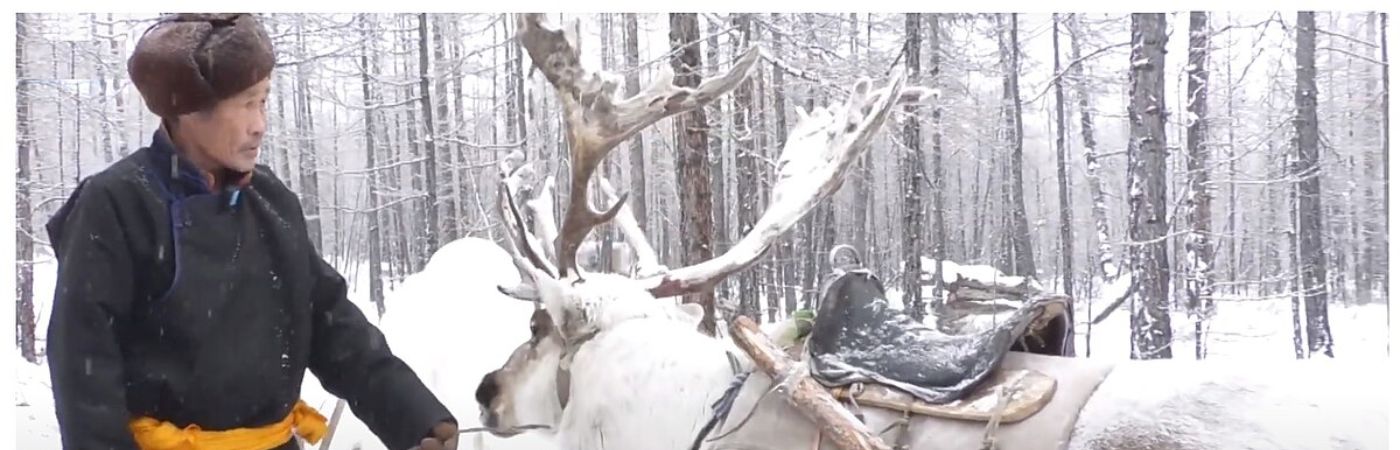 Rare Photos Of Mongolia’s Reindeer Nomads