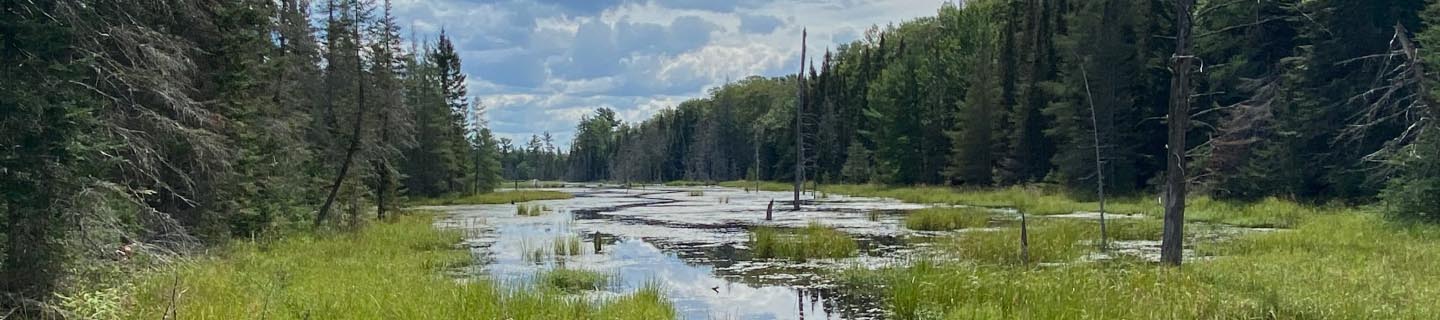 The Ojibwe