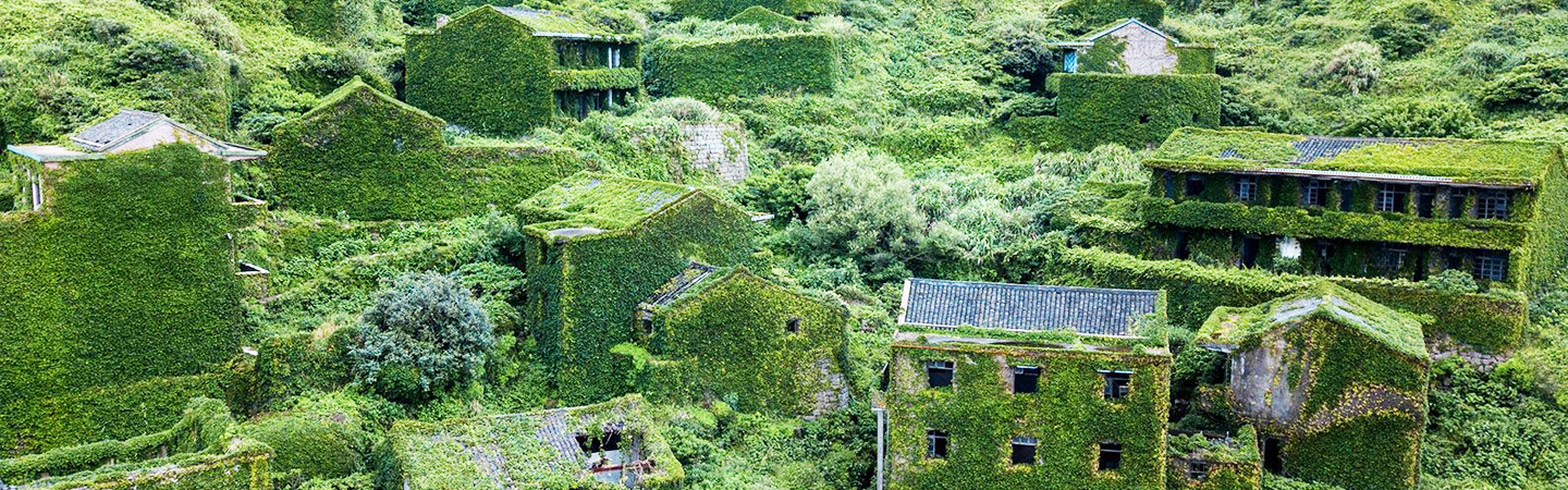 These Abandoned Places Have Been Taken Over By Plants