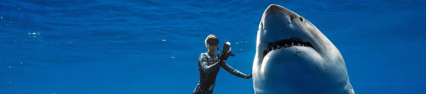 This Man Was Swallowed By A Great White Shark And Lived