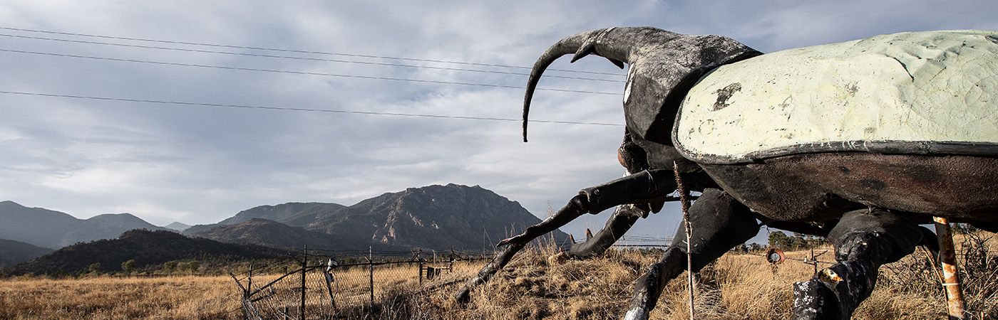 North America's Strangest Roadside Attractions