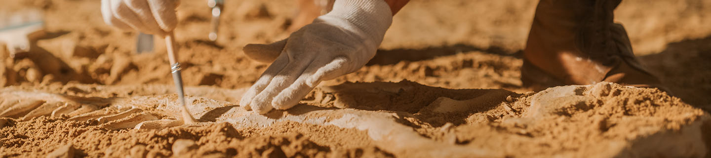 Archaeologists Have Just Found A 1,500-Year-Old Sword In A Hidden Grave