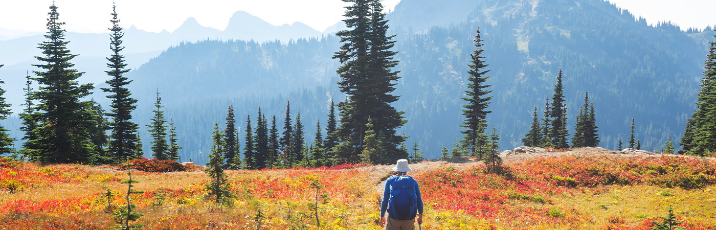 The Best Fall Hikes In Every State